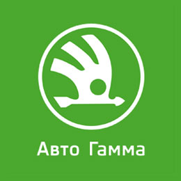Логотип автодилера Авто Гамма